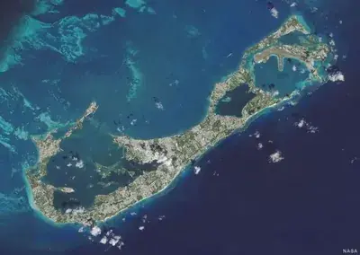 Bermuda (15)